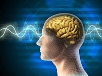 Психологи утверждают, что установили роль щекотки в эволюционном процессе